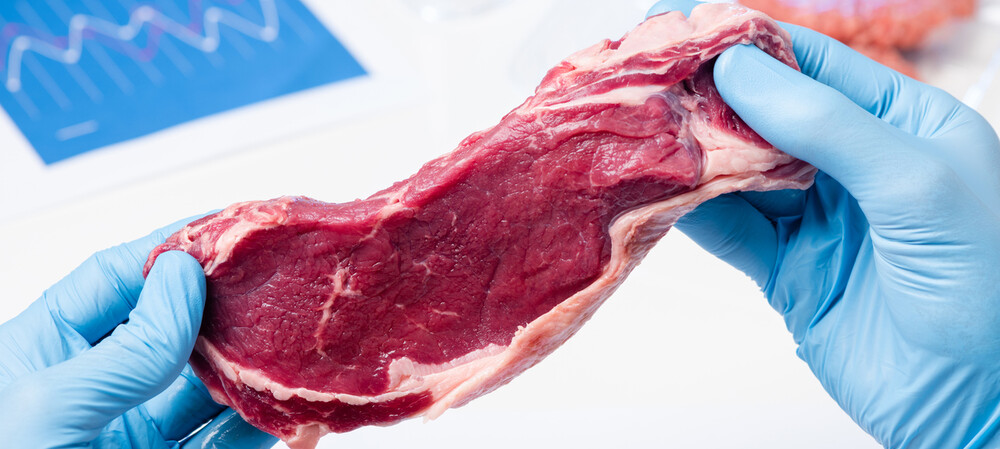 Does cultured beef have fewer allergens?