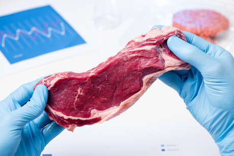 Does cultured beef have fewer allergens?
