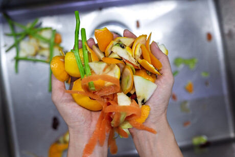 Save Food Initiative strengthens global alliance with UNIDO and WPO