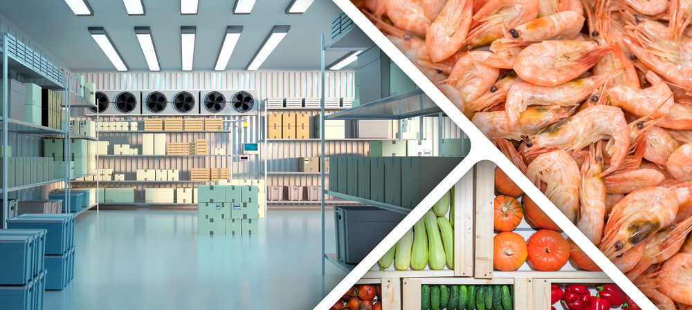 Managing the hygiene gap between cleans in cold-chain environments