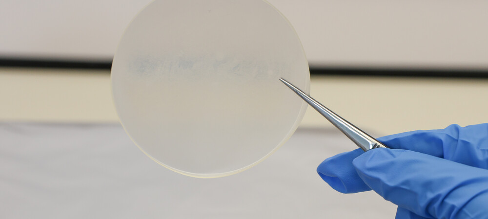 Using milk proteins to make bioplastics for food packaging