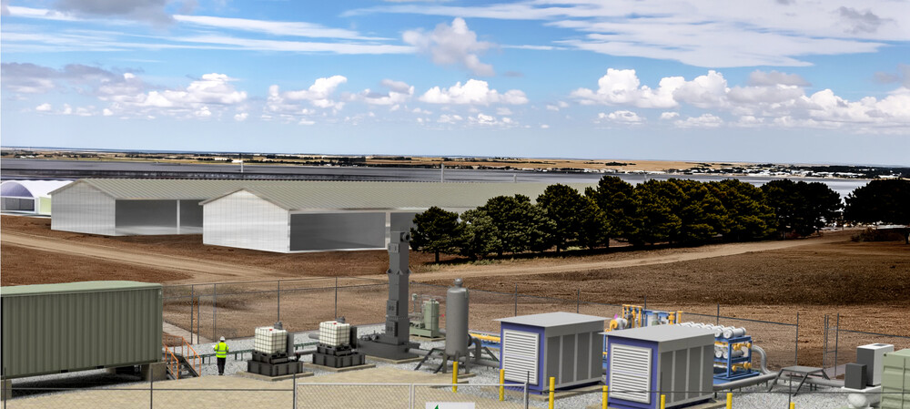 Pig poo to power South Australian homes