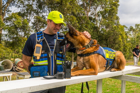 Victorian search and rescue dog teams save lives with new tech