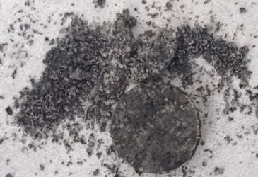 Are discarded peanut shells the affordable and sustainable path to graphene?