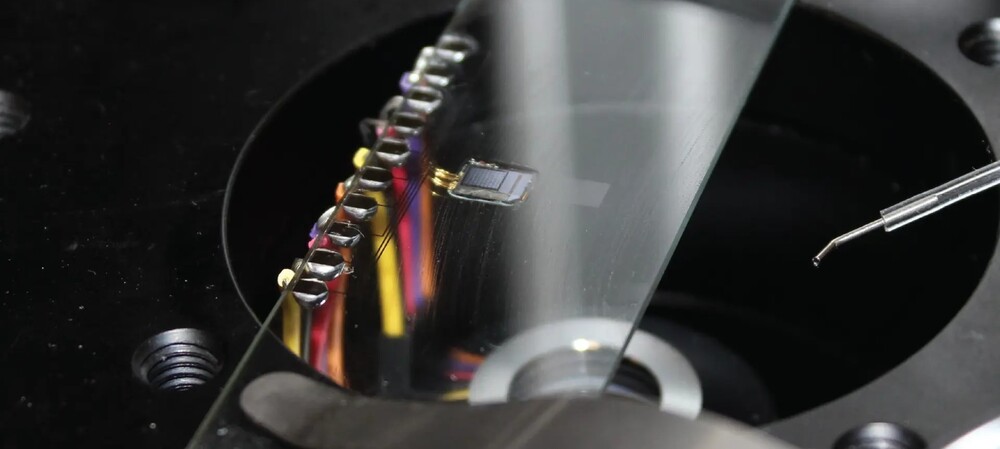 From hospitals into homes &mdash; could tiny biosensors transform medical sampling?