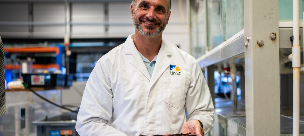 Hatching a market for a giant Aussie prawn