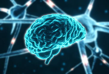 Depression impacts energy at a cellular level, researchers find