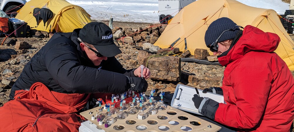 In the face of change: how Antarctic microbes can survive a 95&deg;C temperature span