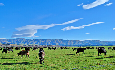 Fonterra completes sale of Mainland Group to Lactalis