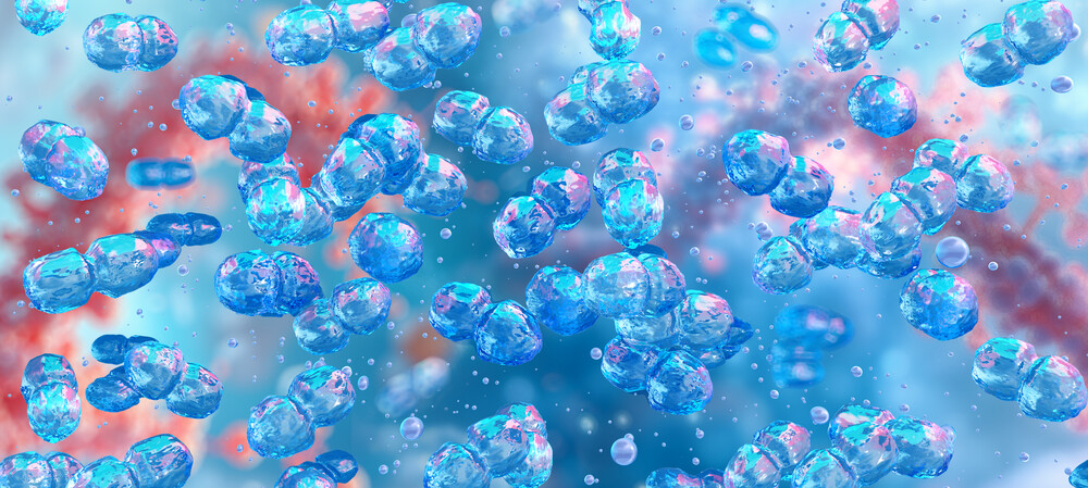 Revealed &mdash; a common bacterium's role in stubborn wound infections