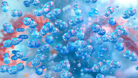 Revealed &mdash; a common bacterium's role in stubborn wound infections