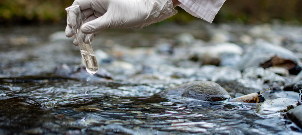 Are lab gloves leading scientists to overestimate microplastics?