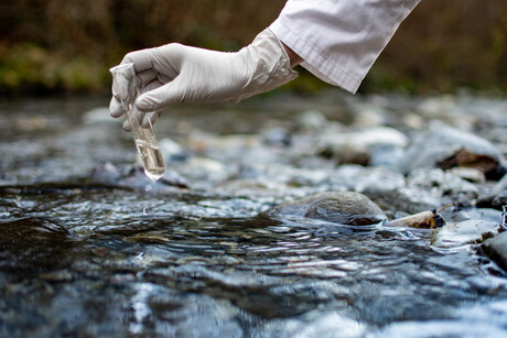 Are lab gloves leading scientists to overestimate microplastics?