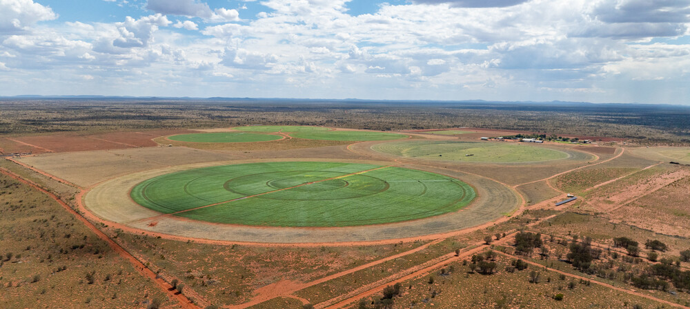 Solar pumps transform water supply for remote NT farm