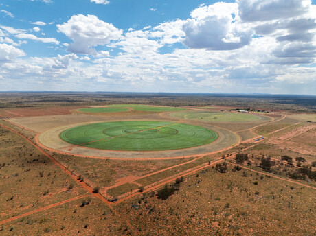 Solar pumps transform water supply for remote NT farm