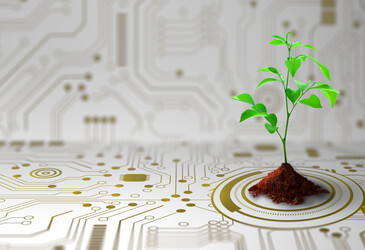 Fungi-based semiconductors for flexible electronics