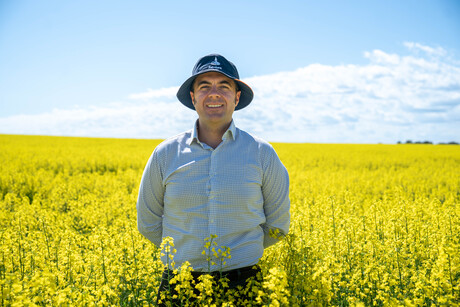 Canola may be key to Australia's biofuel