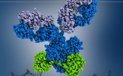 Proteintech FlexAble Oligo-Ready Labeling Kits