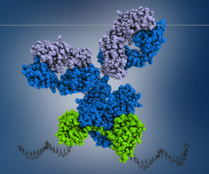 Proteintech FlexAble Oligo-Ready Labeling Kits