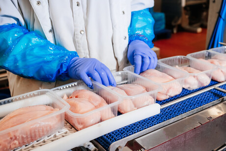 Innovations in inspection solutions for meat, poultry and seafood