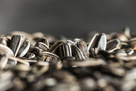 Sunflower seed shells power rechargeable batteries