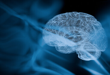 Neuroscientists propose clinical definition for brain fog in menopause