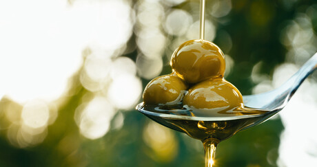 Olives used to predict oil quality before extraction