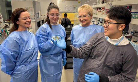 Manufacturing-friendly plastic surface destroys viruses on contact