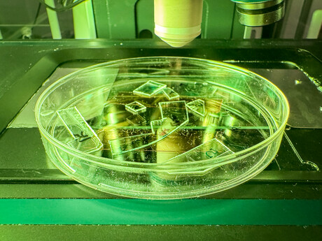 Could this 'virus-tearing' plastic film protect hospital equipment?