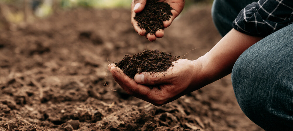 New method to extract microplastics from soil: study