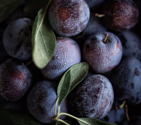 Imperfect plums repurposed into new food products