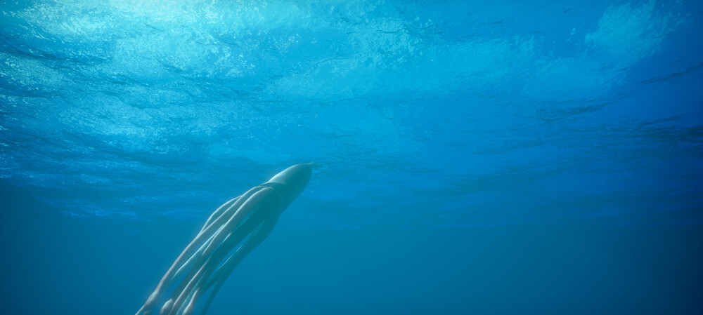Giant squid found hidden in submarine canyons off Western Australia