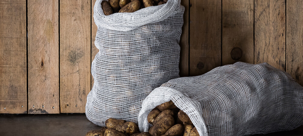Food ingredient plant implements an electrification strategy