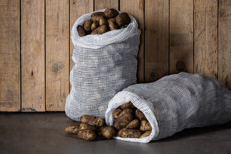 Food ingredient plant implements an electrification strategy