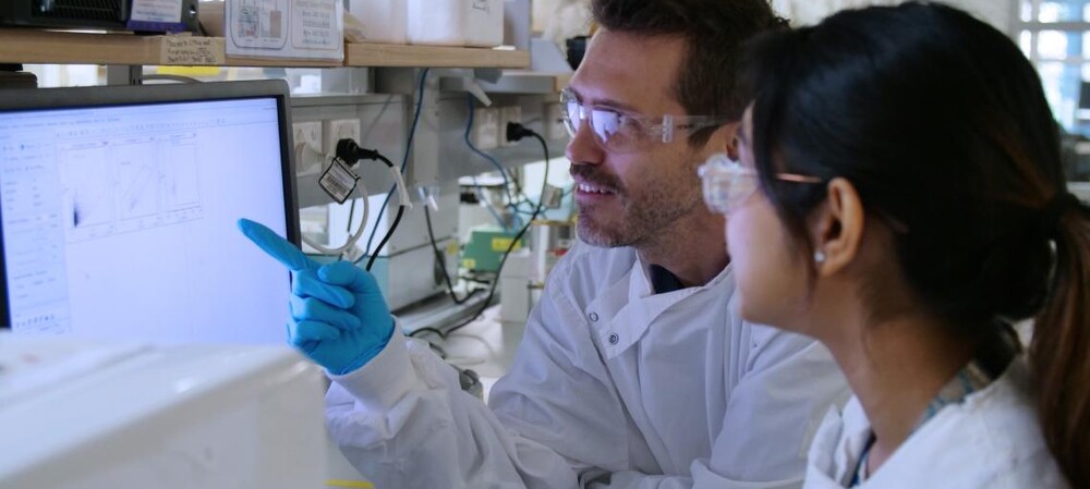 Could 'fusion proteins' reduce errors in a promising gene-editing tool?
