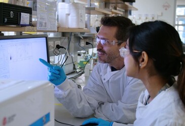 Could 'fusion proteins' reduce errors in a promising gene-editing tool?