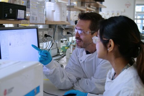 Could 'fusion proteins' reduce errors in a promising gene-editing tool?