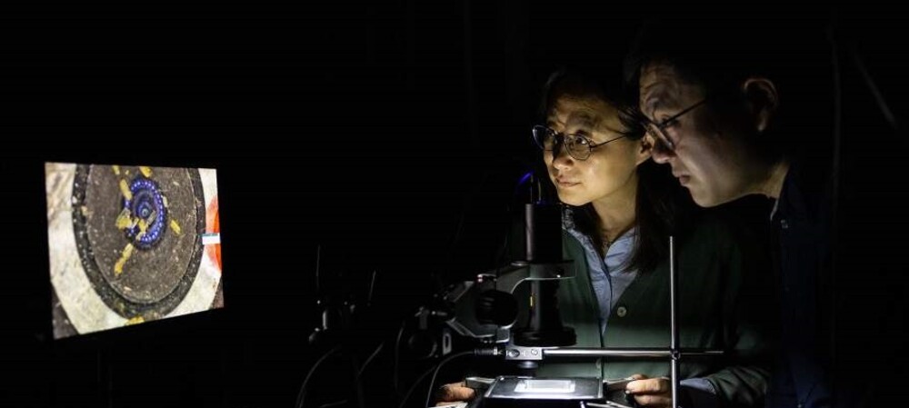 Chiral semiconductors that can absorb visible light