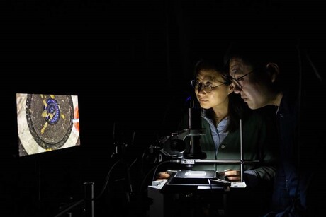 Chiral semiconductors that can absorb visible light