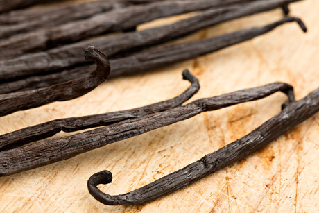 Vanilla innovations to happen right at the source: IFF opens facility