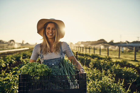 NZ produce supply chain eliminates 200m cardboard boxes