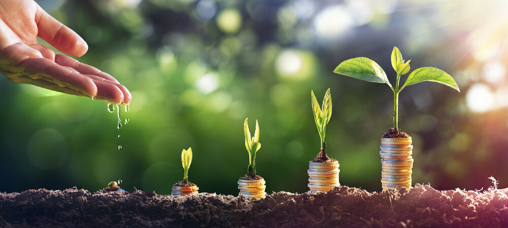 More could be done for sustainability in Budget, say industry groups