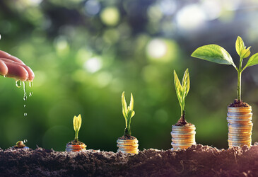 More could be done for sustainability in Budget, say industry groups