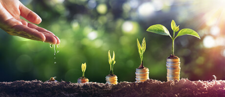 More could be done for sustainability in Budget, say industry groups
