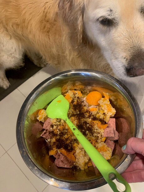 Aussie innovation transforms surplus produce into dog treats