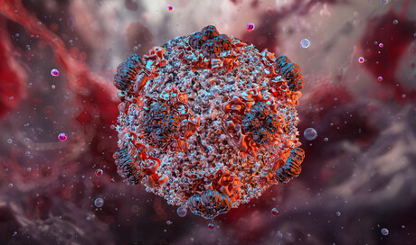 MV <em>Hondius</em> passengers return to Australia under strict infection control measures