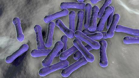 Australia announces $7.2m diphtheria outbreak response package