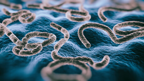 Australian CDC issues update in wake of Ebola outbreak