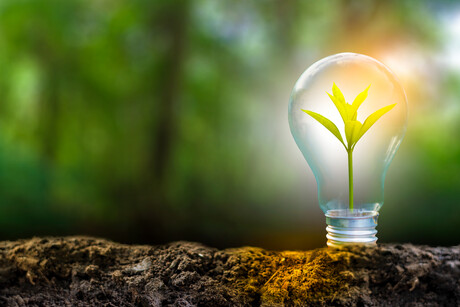 Renewable energy tender to power a third of NSW homes