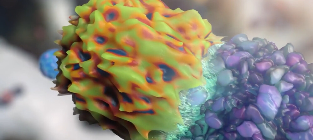 Multiple myeloma treatment reprograms patients' own immune cells